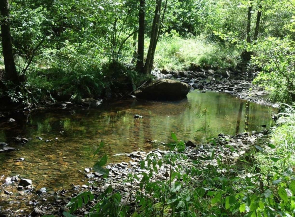 La Chouette Au Bouleau Villa Hargnies Buitenkant foto