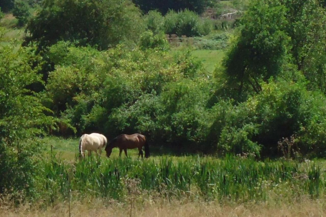 La Chouette Au Bouleau Villa Hargnies Buitenkant foto