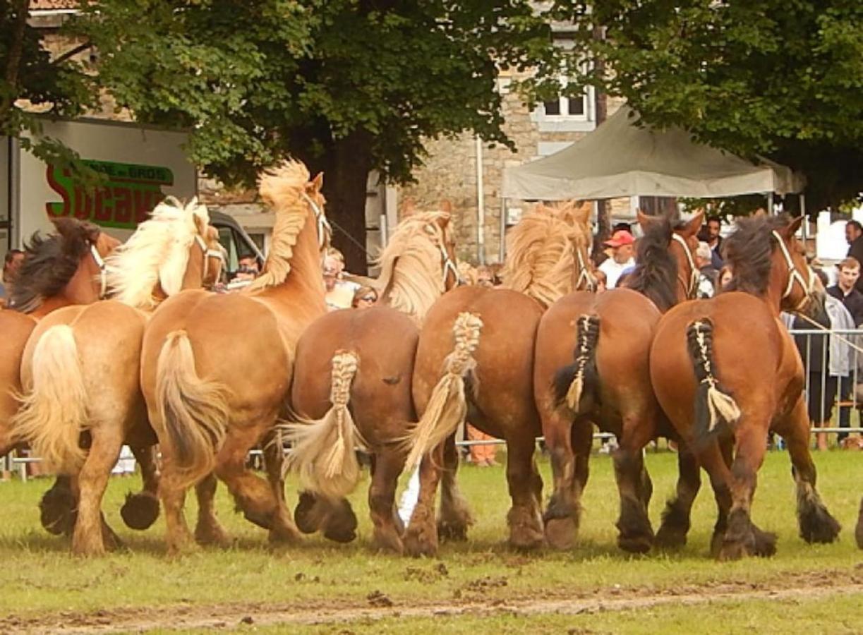 La Chouette Au Bouleau Villa Hargnies Buitenkant foto